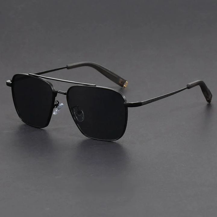 Sentra Titan Navigators